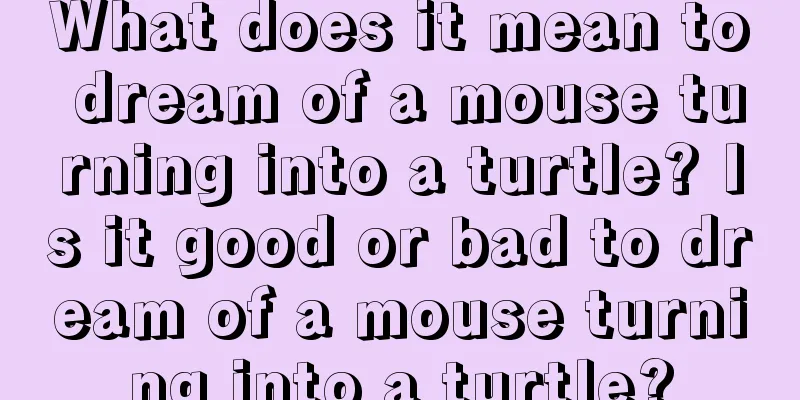 What does it mean to dream of a mouse turning into a turtle? Is it good or bad to dream of a mouse turning into a turtle?