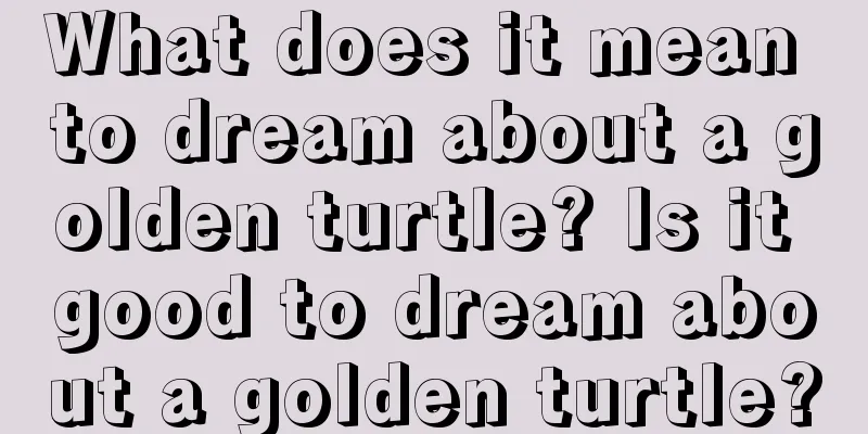 What does it mean to dream about a golden turtle? Is it good to dream about a golden turtle?