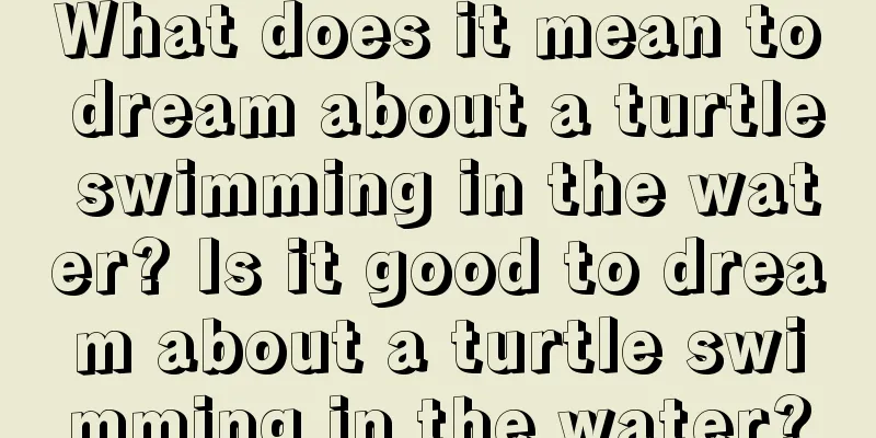 What does it mean to dream about a turtle swimming in the water? Is it good to dream about a turtle swimming in the water?