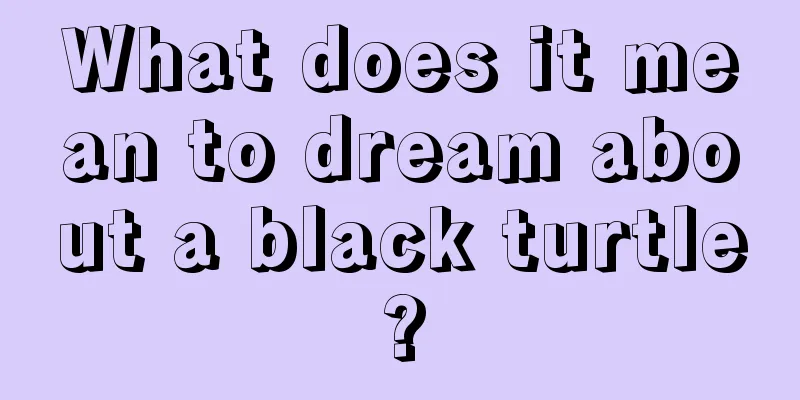 What does it mean to dream about a black turtle?