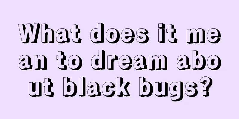 What does it mean to dream about black bugs?