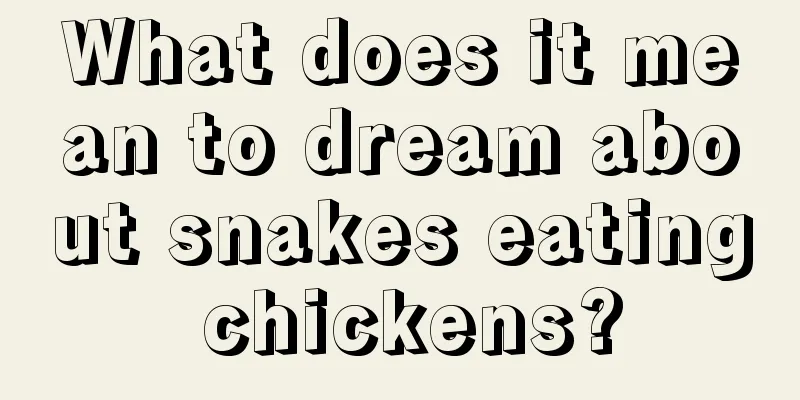 What does it mean to dream about snakes eating chickens?