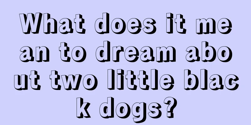 What does it mean to dream about two little black dogs?