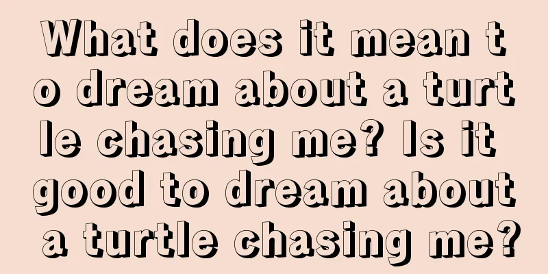 What does it mean to dream about a turtle chasing me? Is it good to dream about a turtle chasing me?