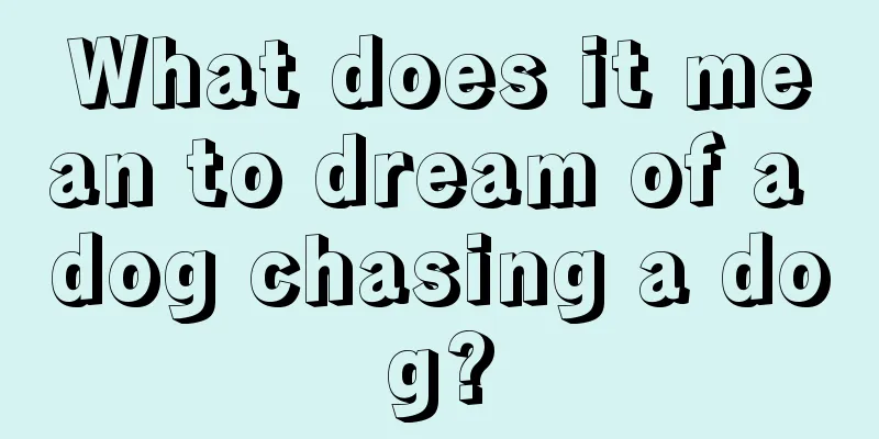 What does it mean to dream of a dog chasing a dog?