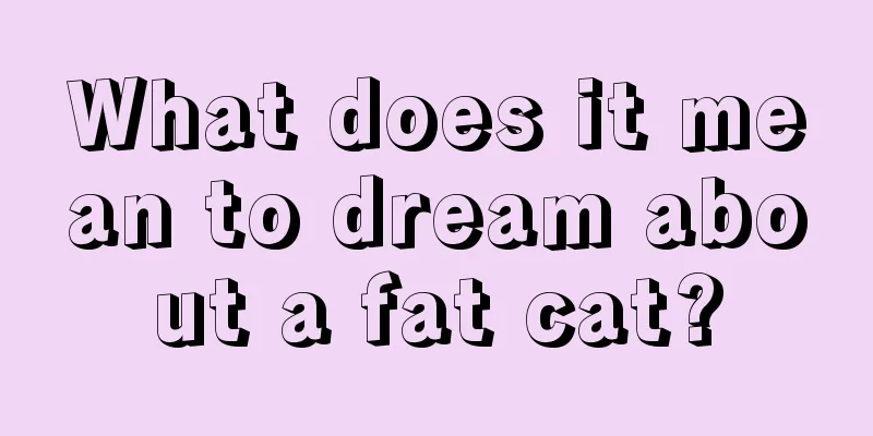 What does it mean to dream about a fat cat?