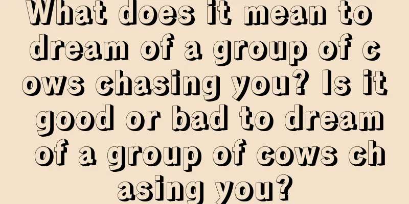 What does it mean to dream of a group of cows chasing you? Is it good or bad to dream of a group of cows chasing you?