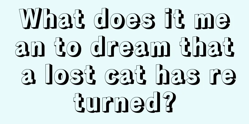 What does it mean to dream that a lost cat has returned?