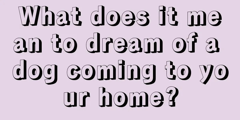 What does it mean to dream of a dog coming to your home?