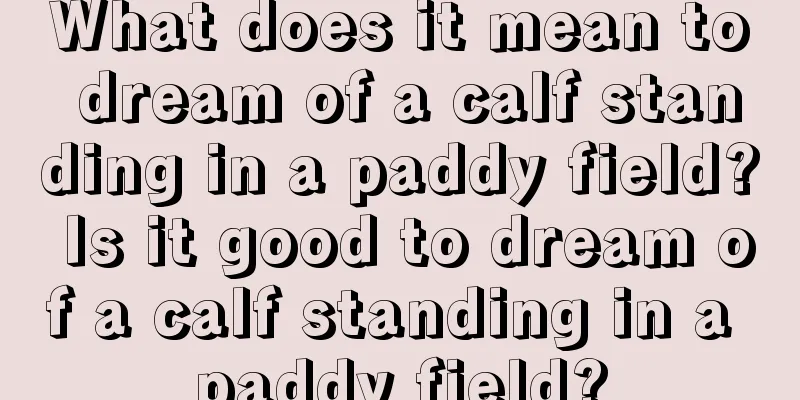 What does it mean to dream of a calf standing in a paddy field? Is it good to dream of a calf standing in a paddy field?