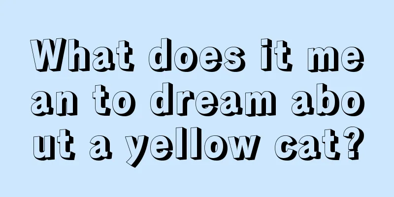 What does it mean to dream about a yellow cat?