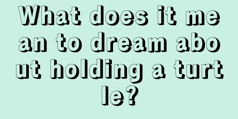 What does it mean to dream about holding a turtle?