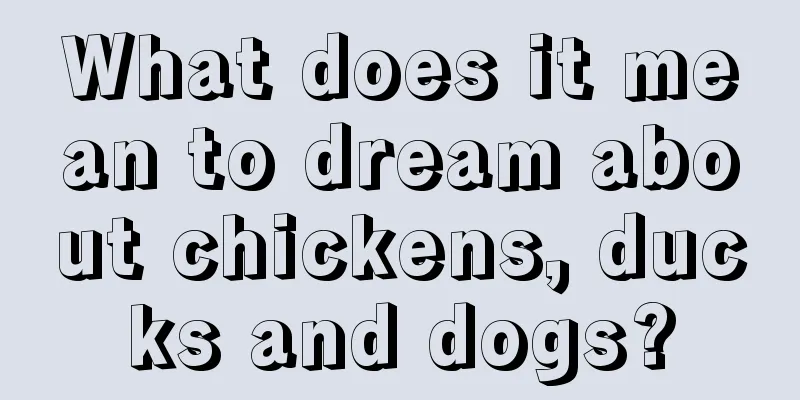 What does it mean to dream about chickens, ducks and dogs?