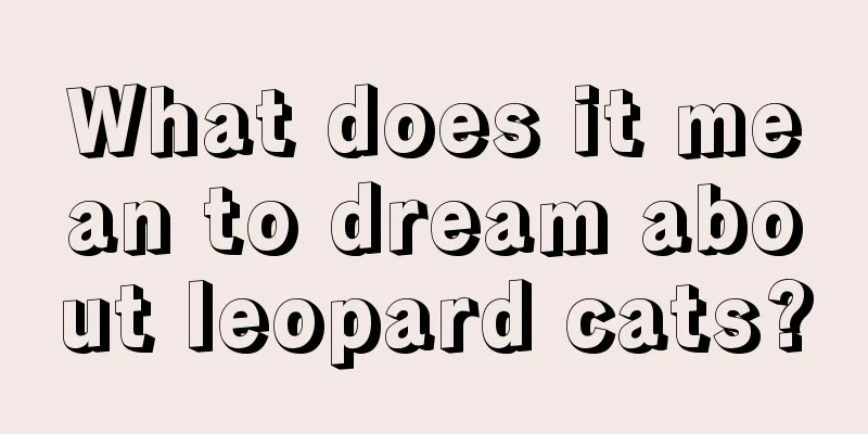 What does it mean to dream about leopard cats?