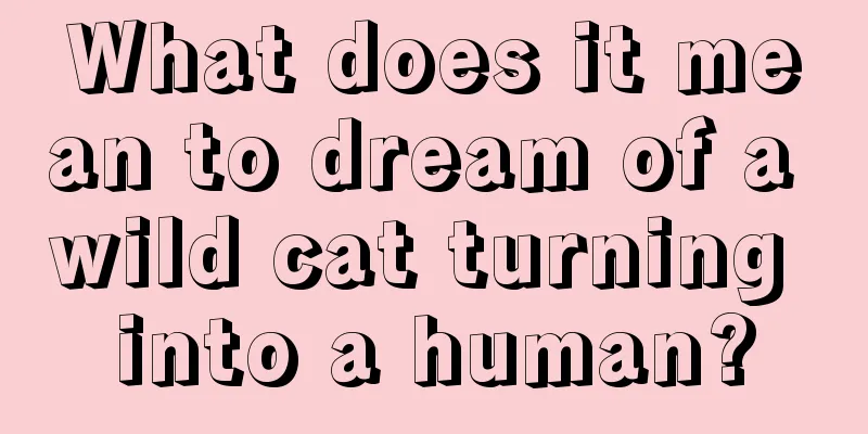 What does it mean to dream of a wild cat turning into a human?