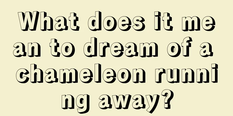 What does it mean to dream of a chameleon running away?