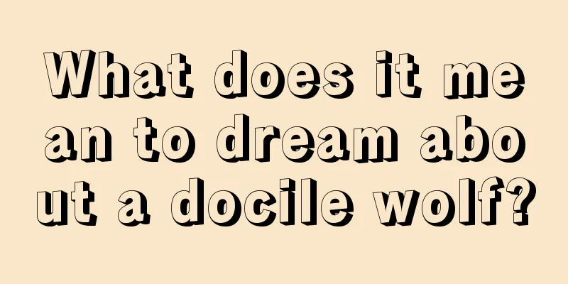 What does it mean to dream about a docile wolf?