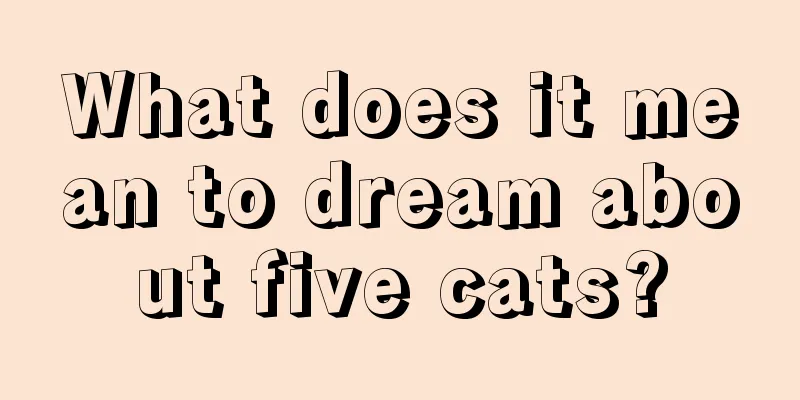 What does it mean to dream about five cats?