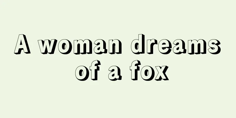 A woman dreams of a fox