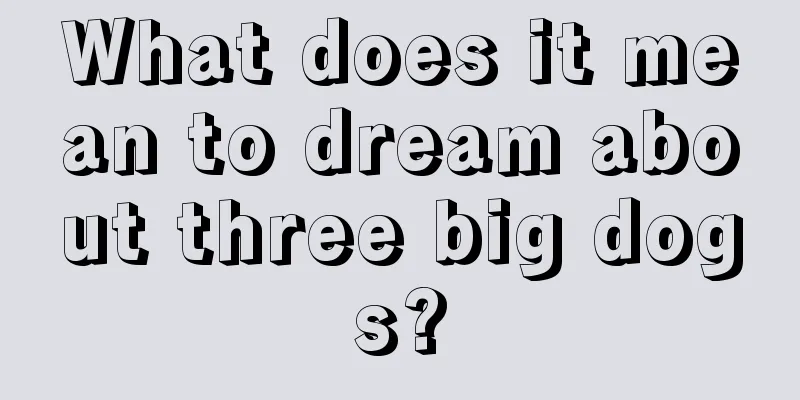 What does it mean to dream about three big dogs?