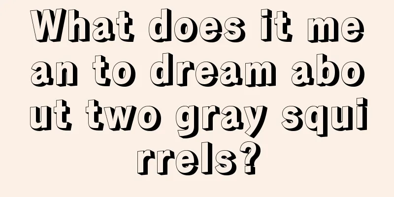 What does it mean to dream about two gray squirrels?