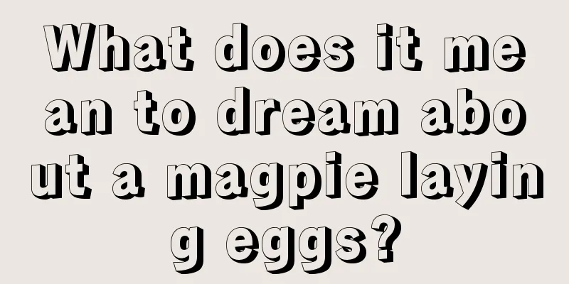 What does it mean to dream about a magpie laying eggs?