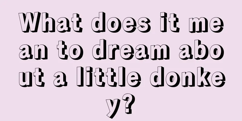 What does it mean to dream about a little donkey?