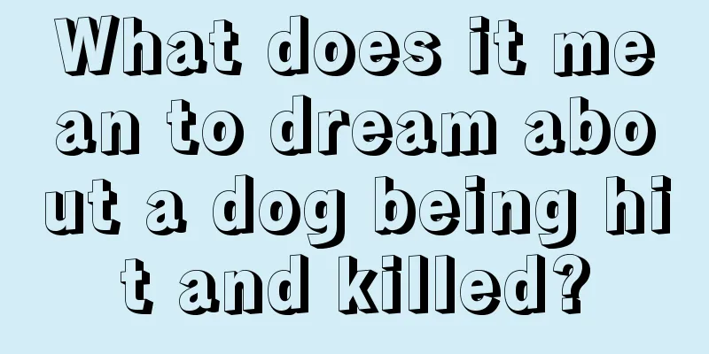 What does it mean to dream about a dog being hit and killed?