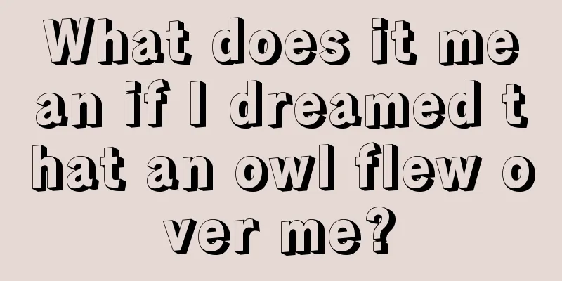 What does it mean if I dreamed that an owl flew over me?