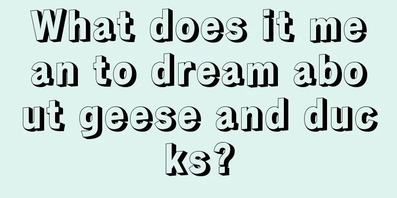 What does it mean to dream about geese and ducks?