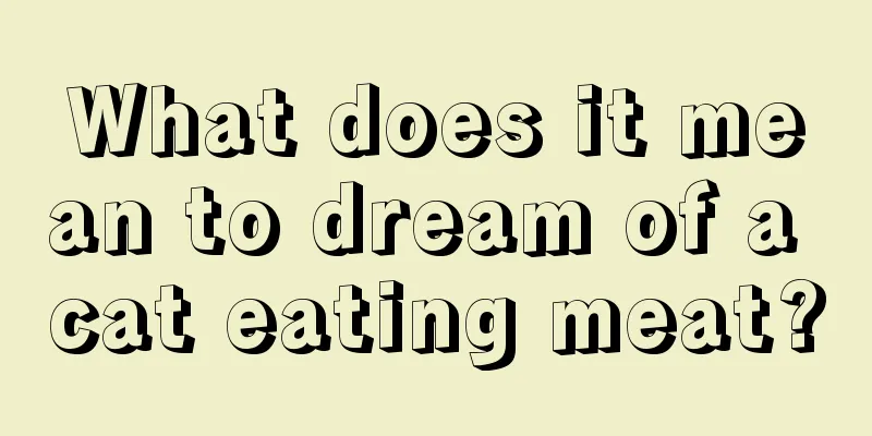 What does it mean to dream of a cat eating meat?