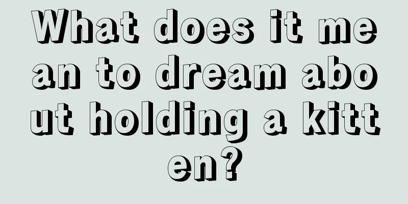 What does it mean to dream about holding a kitten?