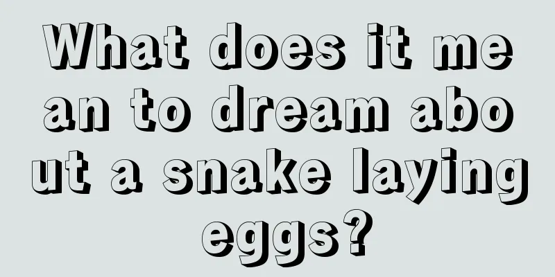 What does it mean to dream about a snake laying eggs?