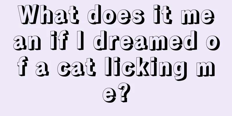 What does it mean if I dreamed of a cat licking me?