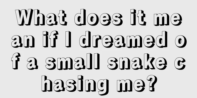 What does it mean if I dreamed of a small snake chasing me?