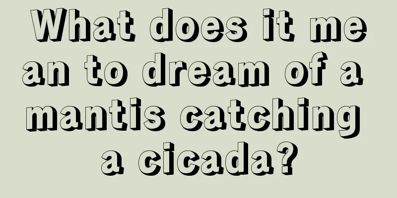 What does it mean to dream of a mantis catching a cicada?