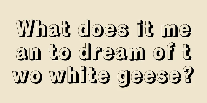 What does it mean to dream of two white geese?