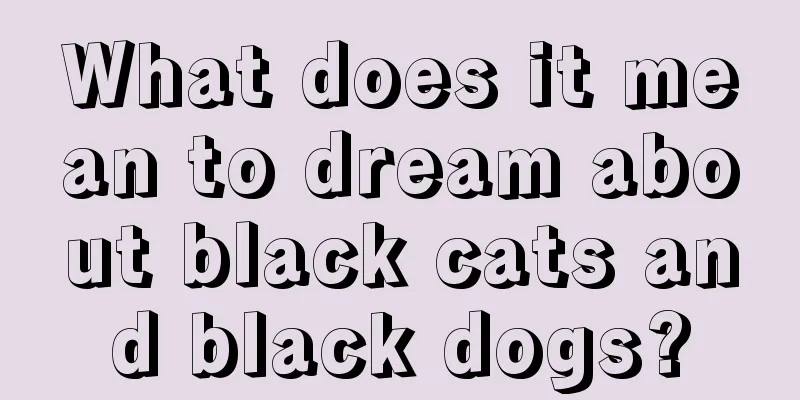 What does it mean to dream about black cats and black dogs?