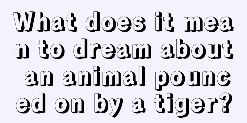 What does it mean to dream about an animal pounced on by a tiger?