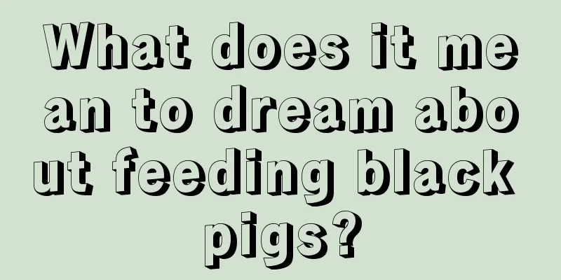 What does it mean to dream about feeding black pigs?