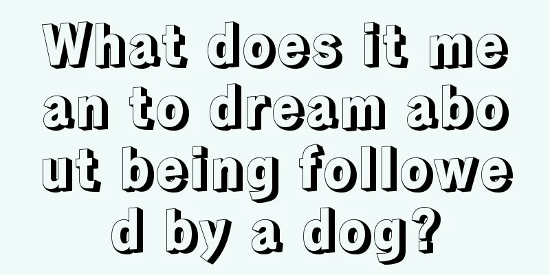 What does it mean to dream about being followed by a dog?