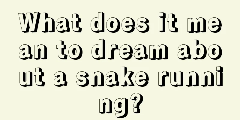 What does it mean to dream about a snake running?