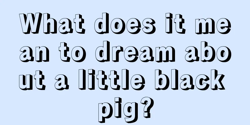 What does it mean to dream about a little black pig?