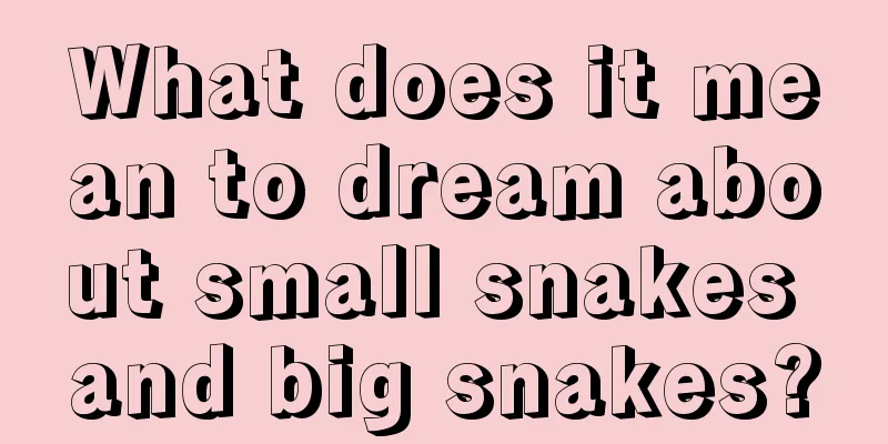 What does it mean to dream about small snakes and big snakes?