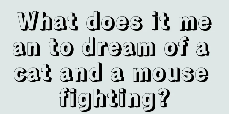 What does it mean to dream of a cat and a mouse fighting?