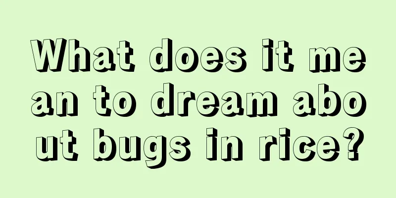 What does it mean to dream about bugs in rice?