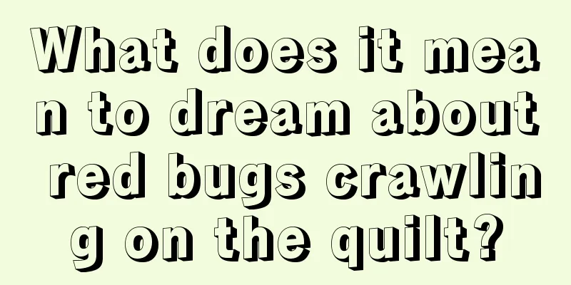 What does it mean to dream about red bugs crawling on the quilt?