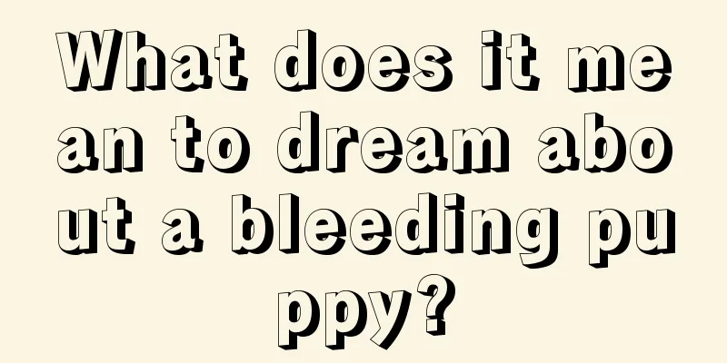 What does it mean to dream about a bleeding puppy?