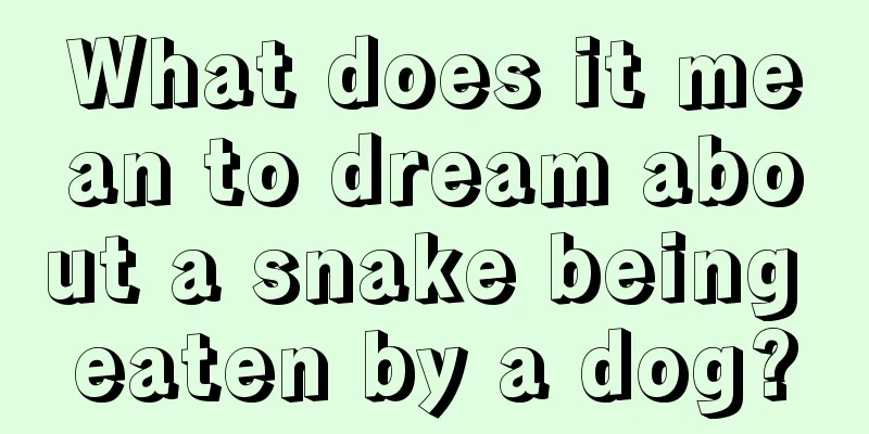 What does it mean to dream about a snake being eaten by a dog?