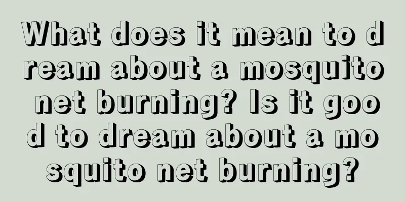 What does it mean to dream about a mosquito net burning? Is it good to dream about a mosquito net burning?